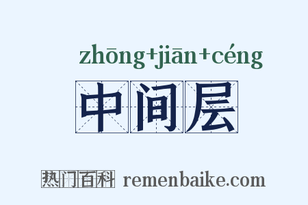 中间层是什么意思的图片